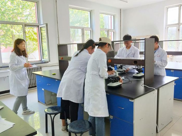 1560755645608684.jpg 3.jpg